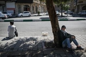 بیمه شدگان فصلی